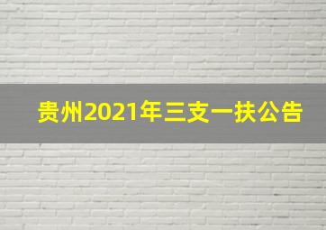 贵州2021年三支一扶公告