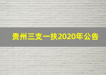 贵州三支一扶2020年公告