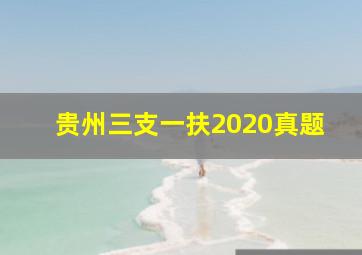 贵州三支一扶2020真题