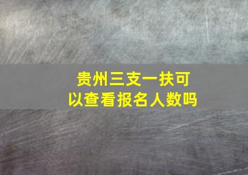 贵州三支一扶可以查看报名人数吗