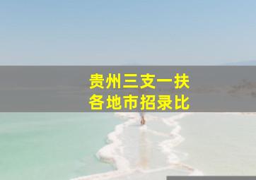 贵州三支一扶各地市招录比