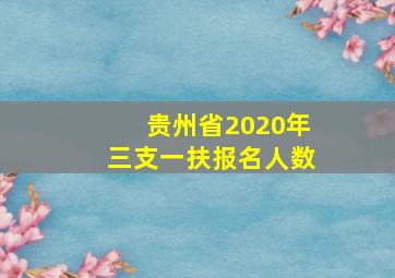 贵州省2020年三支一扶报名人数