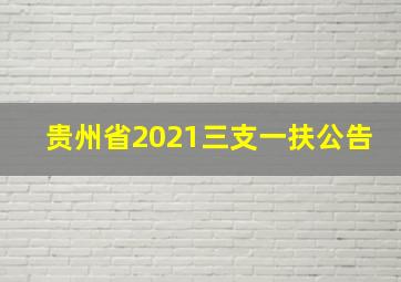 贵州省2021三支一扶公告