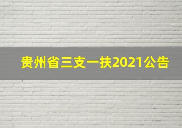 贵州省三支一扶2021公告