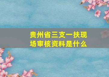 贵州省三支一扶现场审核资料是什么