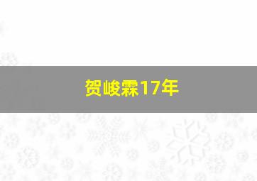 贺峻霖17年