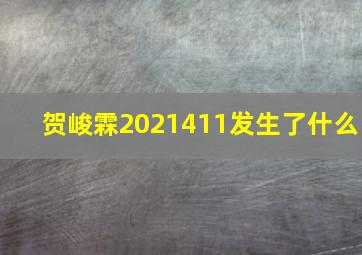 贺峻霖2021411发生了什么