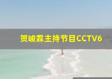 贺峻霖主持节目CCTV6