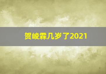 贺峻霖几岁了2021