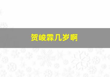 贺峻霖几岁啊