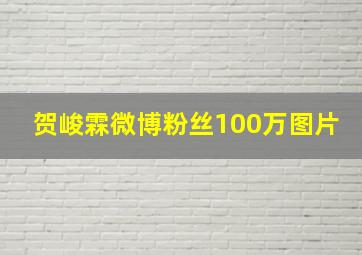 贺峻霖微博粉丝100万图片