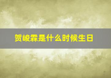 贺峻霖是什么时候生日