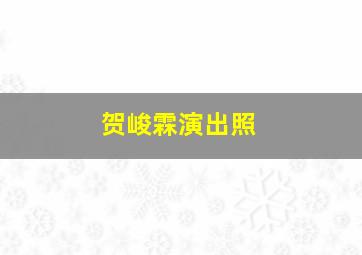 贺峻霖演出照