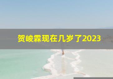 贺峻霖现在几岁了2023