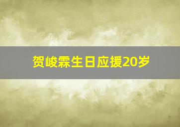 贺峻霖生日应援20岁