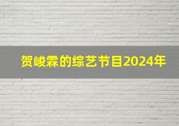 贺峻霖的综艺节目2024年