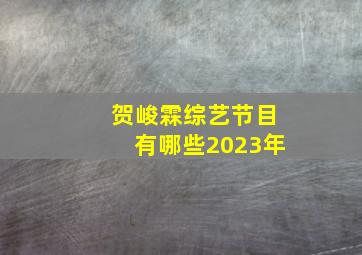 贺峻霖综艺节目有哪些2023年