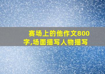 赛场上的他作文800字,场面描写人物描写