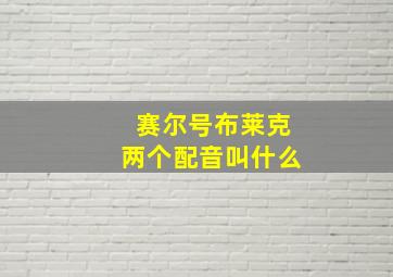 赛尔号布莱克两个配音叫什么