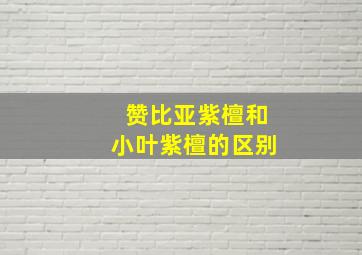 赞比亚紫檀和小叶紫檀的区别