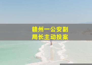 赣州一公安副局长主动投案