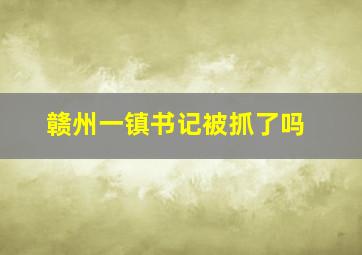 赣州一镇书记被抓了吗