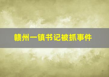 赣州一镇书记被抓事件