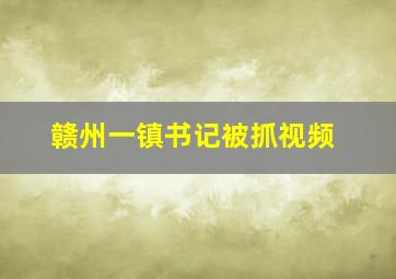 赣州一镇书记被抓视频