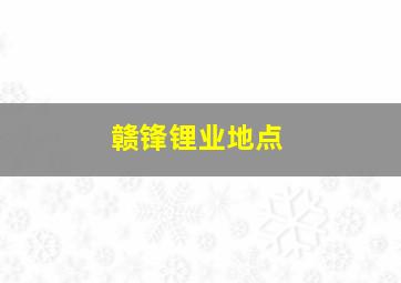 赣锋锂业地点