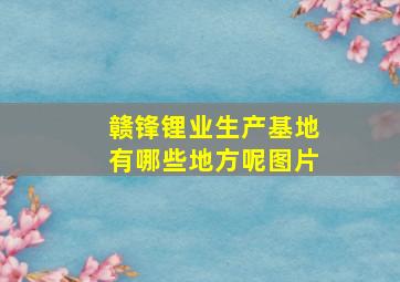 赣锋锂业生产基地有哪些地方呢图片