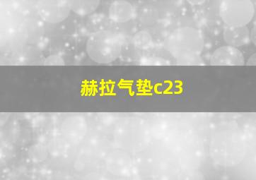 赫拉气垫c23