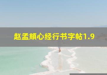 赵孟頫心经行书字帖1.9