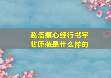 赵孟頫心经行书字帖原装是什么样的