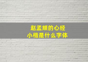 赵孟頫的心经小楷是什么字体