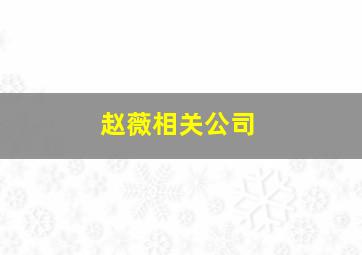 赵薇相关公司