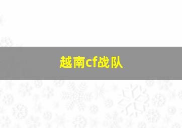 越南cf战队