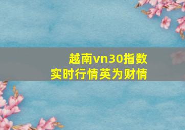 越南vn30指数实时行情英为财情