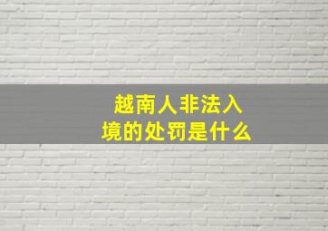 越南人非法入境的处罚是什么