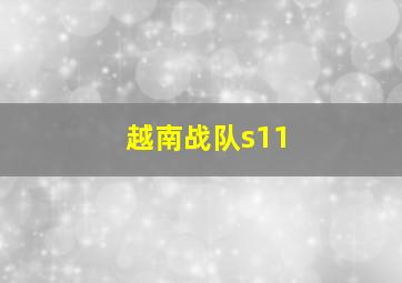 越南战队s11