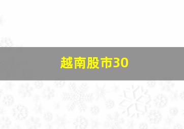 越南股市30