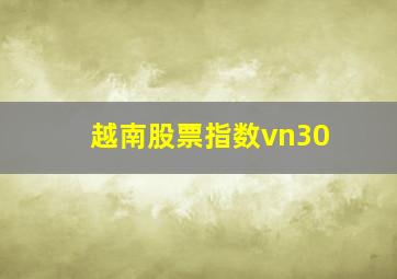 越南股票指数vn30