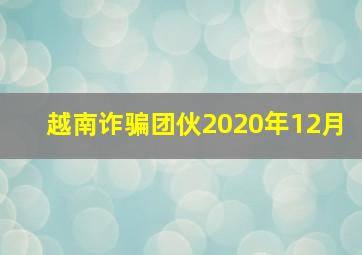 越南诈骗团伙2020年12月