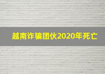 越南诈骗团伙2020年死亡