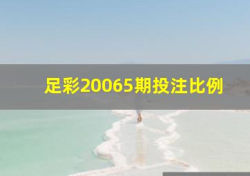 足彩20065期投注比例