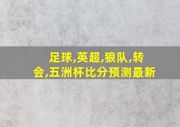 足球,英超,狼队,转会,五洲杯比分预测最新