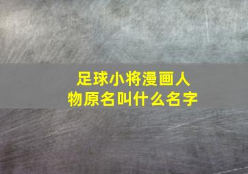 足球小将漫画人物原名叫什么名字