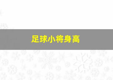 足球小将身高