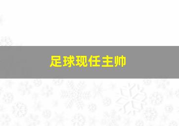 足球现任主帅