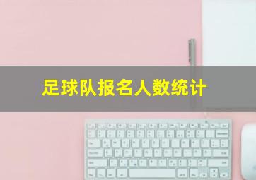 足球队报名人数统计