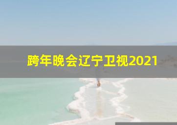 跨年晚会辽宁卫视2021